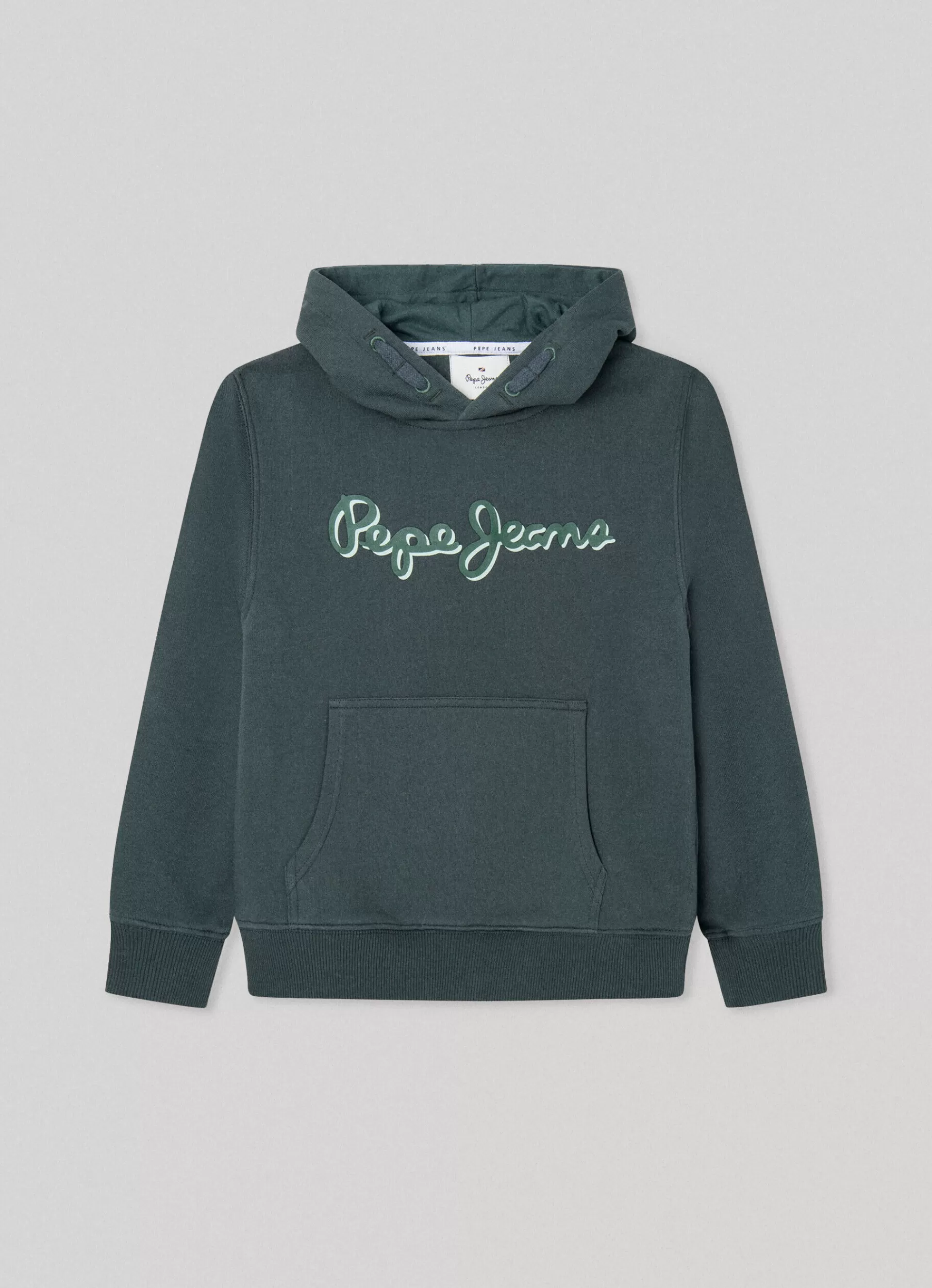 Sweats*KIDS Pepe Jeans HOODIE WITH 3D- EFFECT LOGO Regent Green