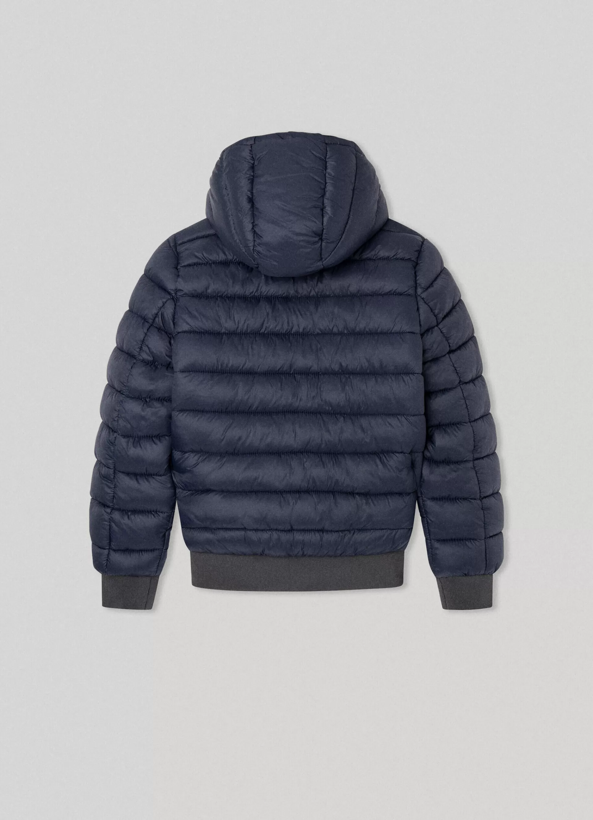 Coats & Jackets*KIDS Pepe Jeans NYLON PUFFER JACKET Dulwich Blue