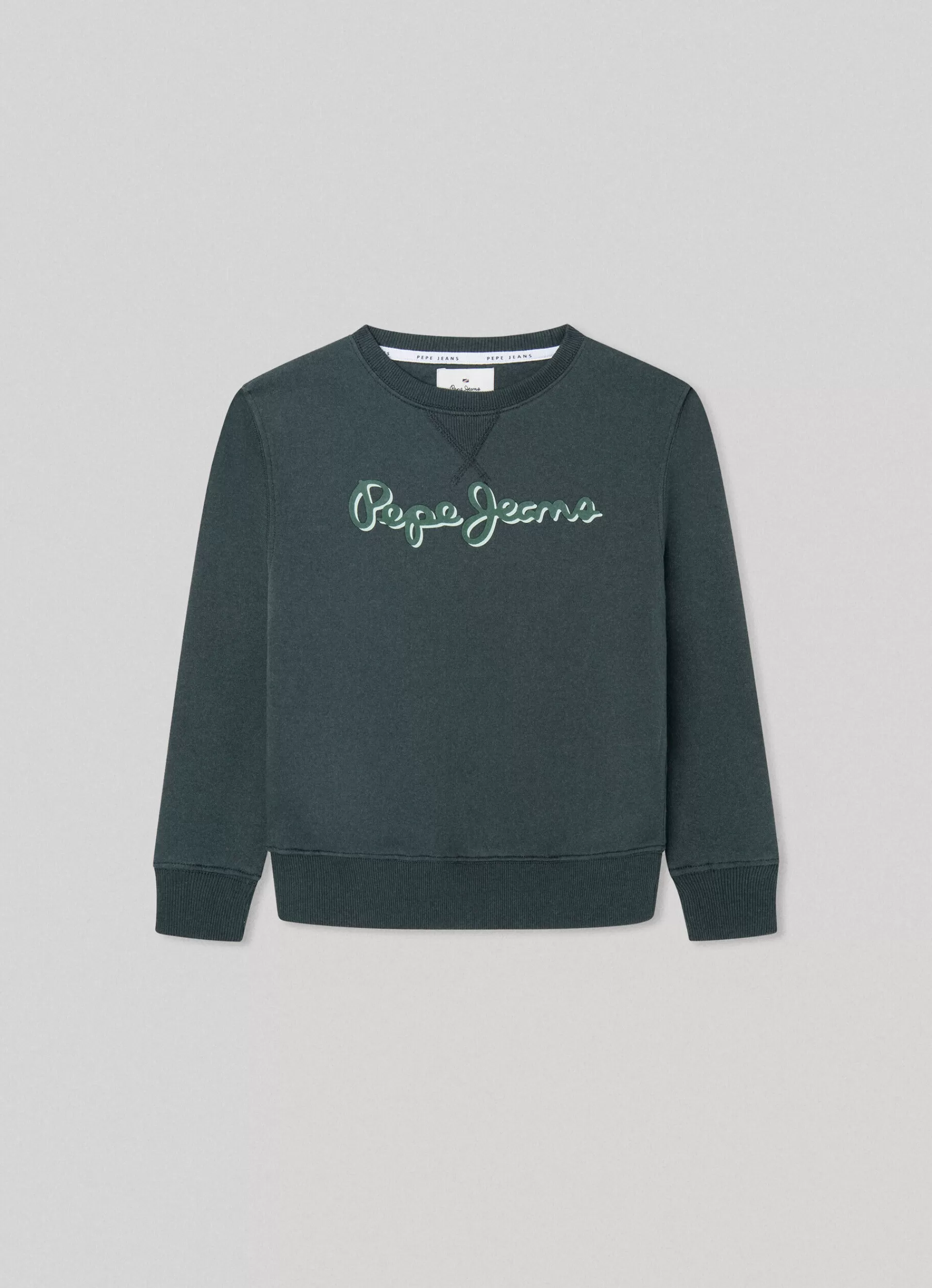 Sweats*KIDS Pepe Jeans SWEATSHIRT WITH 3D-EFFECT LOGO Regent Green